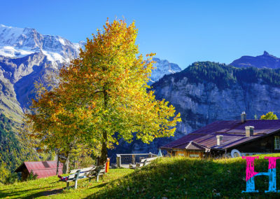 Day12_Murren3